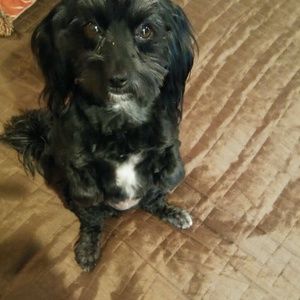 Meet your Posher, Gary